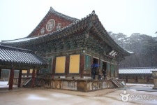 Bulguksa Temple [UNESCO World Heritage] (불국사) | 경주