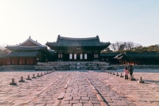 궁에 있는 핀