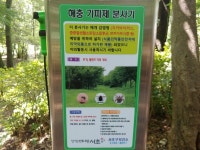 서초동 산책코스 추천,점심식사 후 우면산 서초약수터