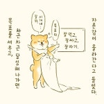 자존감이 올라간다,시바