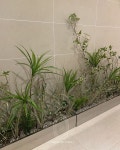 🌲🌳🌴PLANTERIOR 조화조경전문 디자인그룹_쟈뎅드에덴 #planterior#플랜테리어#플랜트월#공간연출#플랜트박스#쟈뎅드에덴#미니정원... 