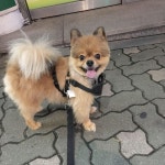 로키는 잘 지내요
