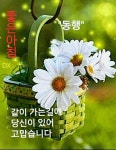 좋은글에 있는 미아 이님의 핀 | 사진 아이디어, 칼리그래피 아트, 꽃