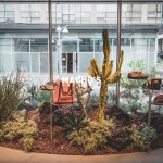 machos.sachunki 플랜테리어 planterior