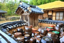 “옷소매 붉은 끝동에도 나왔던 그곳”… 힐링하는 시골 감성 여행지