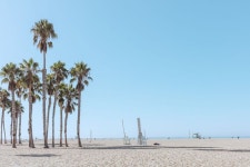 여행가고 싶어지는 라이카(Leica) 색감 필름느낌 감성사진 (LA, 캘리포니아) | 캘리포니아, 여행사진, 감성사진