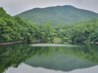 수원에 있는 영근 박님의 핀 - 2020 | 수원