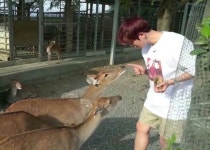 baekhyun | exo | 백현 | 엑소 | 보보후 | bobohu | byun baekhyun | soft | cute | baby | animals | boyfriend material | #baekhyun... 