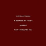 Red에 관한 28개의 최상의 Pinterest 이미지 | 90년대 스타일, Band memes 및 Emo Red