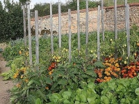 Jardins에 관한 25개의 최상의 Pinterest 이미지 | 뒤뜰 아이디어, 채소 정원 및 퍼머컬쳐 Jardins
