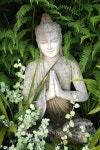 Budda에 관한 43개의 최상의 Pinterest 이미지 Budda