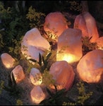 ㅤ۪ㅤ ㅤׂꜝ kanarinouso in 2023 | Pretty pictures, Pixie hollow, Season of the witch ㅤ۪ㅤ ㅤׂꜝ...
