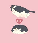 AlexandreDiboine(@A_Zedig_Diboine) 님 | 트위터의 미디어 트윗