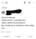 세상 이야기 :)에 있는 GO픽님의 핀 - 2023 | 이야기, 당근