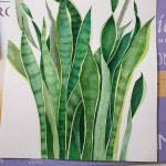 다시 #파브리아노#아띠스띠꼬중목#홀베인#미션골드#수채화#공기정화#산세베리아#그린그린#보테니컬아트#수채화일러스트... 