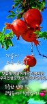 Pin page Pin on 꽃그림