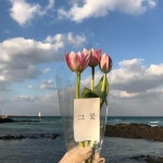 Pin page 제시카무드, 꽃을좋아하는 아주미🌷 우빈맘 on Instagram: “예쁜사진을 얻기 위해선  노력이 필요해요... 