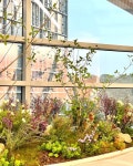 * Project : 이트너스 오피스 * Client : 핫디자인 * Type : Artificial Plants * Location : 경기도 과천시 과천대로7나길 60 과천어반허브 안녕하세요?... 