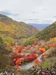 보발재