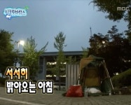 서서히 밝아오는 아침 | 밤샘, 재미있는 이모티콘, 대디