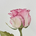 첫날 망한 튤립 다시 그릴거예요 😂 📷pinterest #2월엔1일1그림#februartflowers#wetercolorpainting #행복한챌린지#즐기면서하자