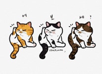 고양이 그루밍