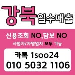 서울일수/강북일수 - 2021