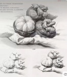 정물소묘