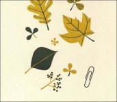 Pin page Pin by 준선 박 on 자료 | Autumn illustration, Sketch book, Plant illustration