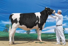 Pin page 서울우유 아름다운 젖소 6회 6부 최우수 새벽목장 | 젖소, 재미있는 생일, 생일