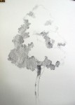 NAMIL ART: [drawing step by step] Drawing a Hardwood Tree - Basic Pencil drawing process 활엽수 나무그리기 과정 - 기초 연필 데생... 