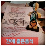 힐링, 8체질 생활건강님의 스토리(이미지 포함) | 침술, 건강, 지압