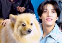 Pin page ปักพินในบอร์ด 강아지 🐶🎀 ในปี 2024