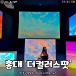 Pin page 서울 핫플여기 / 서울맛집 서울카페 서울여행 on Instagram: “홍대에 있는 영롱미쩔 이색 전시회🌈💜 꿈 속의 자연을 표현한 미디어... 