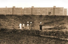 영동지구(강남)의 과거와 현재 영동지구(강남)의 과거와 현재 | Korean photo, Old pictures, Dolores park