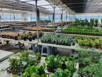 - 2020 | 식물, 화분받침대, 농장 ​여러분 안녕하세요!! 오늘은 맛집... 김포에 구경할 곳이 어디... - 2020 | 식물, 화분받침대, 농장