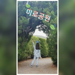 제주 미로공원 - 2021