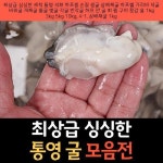 13500원 - 최상급 싱싱한 세척 통영 석화 하프셀 손질 생굴 삼배체굴... 개체굴 돌굴 벚굴 각굴 반각굴 하프 깐 굴 회 찜 구이 횟감 용 1kg 3kg