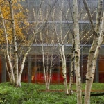 * 선큰 스트라이프 공원 [ Chyutin Architects ] BGU University Entrance Square | 아름다운 정원, 실내정원