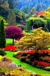 ✿✥✿ BEAUTIFUL GARDEN ✿✥✿ | 정원 가꾸기, 아름다운 정원
