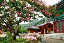 밀양의 꼭 가볼만한 곳으로 꼽히는 원효대사가 창건한 사찰인 밀양 표충사 (사진_2014 제42회 대한민국관광사진공모전 박은성)