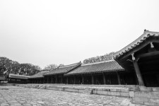 종묘의 매력 | 한국