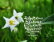 캘리그래피 손글씨에 있는 형자 진님의 핀 - 2024 | 수채화 인쇄, 칼리그래피 아트, 손글씨