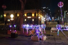 나홀로 출사에 있는 helia87님의 핀 - 2023