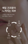 [Ph.Drop피에이치드롭]필라그린 크림 50ml - 2023 | 웹디자인, 페이지 디자인, 웹 디자인 레이아웃