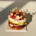 빅토리아케이크🎂 연말케이크는 마감했습니다! 감사합니다🙏🏻 | Tasty baking, Cake decorating tips, Yummy food dessert