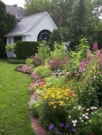 jardin에 관한 61개의 최상의 Pinterest 이미지 | 정원 가꾸기, 식물 및 아름다운 정원 jardin