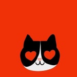 《CHIC CATS》에 있는 김순득님의 핀 - 2020