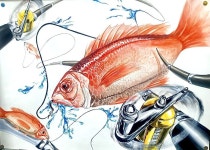 [수시] 2021 평택대학교 패션디자인 및 브랜딩