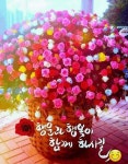 행운과 행복이 함께 하시길